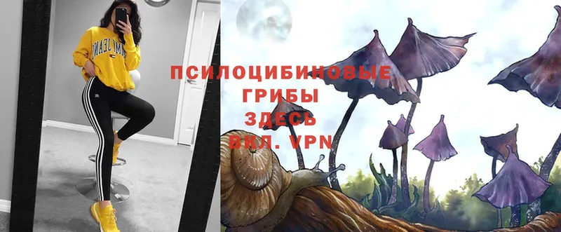 Галлюциногенные грибы Magic Shrooms  ОМГ ОМГ ССЫЛКА  Валдай 